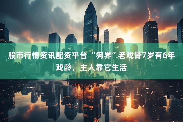 股市行情资讯配资平台 “狗界”老戏骨7岁有6年戏龄，主人靠它生活